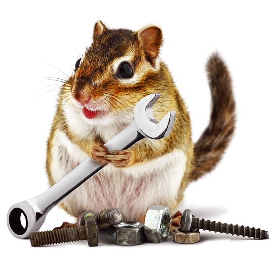 hamster.png